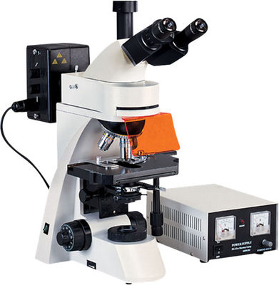 میکروسکوپ Trinocular Epi Fluorescence Microscope 1600X WF10X 22mm Phase Contrast