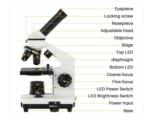 میکروسکوپ بیولوژیکی دانشجویی تک چشمی Drawtube 640X ODM