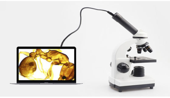 میکروسکوپ بیولوژیکی دانشجویی تک چشمی Drawtube 640X ODM
