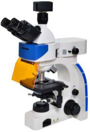 میکروسکوپ آزمایشگاهی زیست شناسی Trinocular 40X 100X Epi Fluorescence Microscope